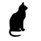 Cat Cat