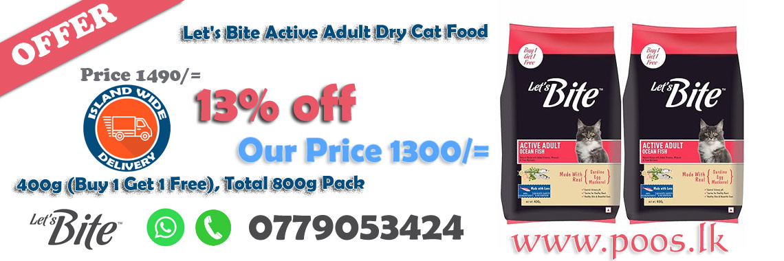 Let's Bite Active Adult Dry Cat Food