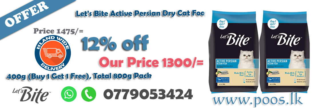 Let's Bite Active Persian Dry Cat Food